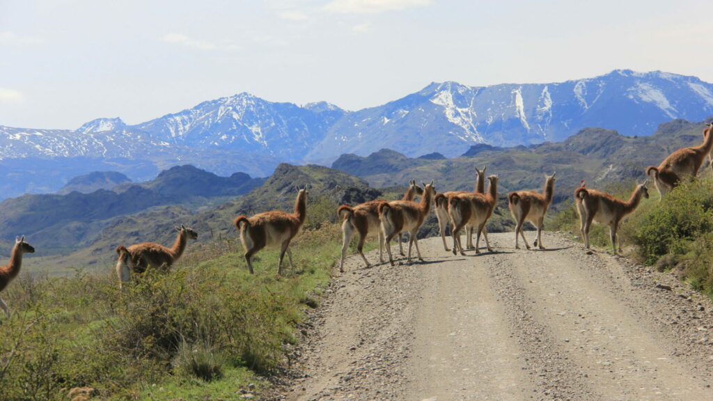 Park Patagonia